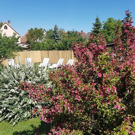 Apartament Kovacs Vendeghaz Mátraderecske Zewnętrze zdjęcie